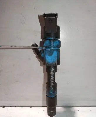 Renault Scenic I Fuel injector 0445110110