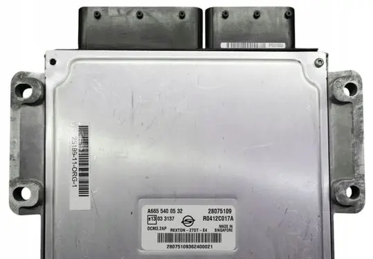 SsangYong Rexton Engine control unit/module A6655400532