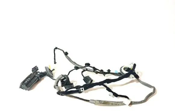 Rear door wiring loom