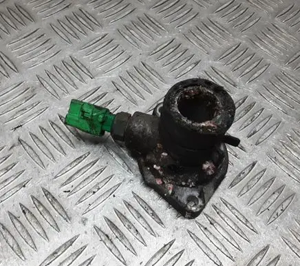 Thermostat/thermostat housing