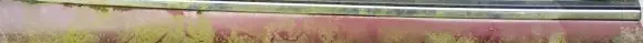 Mazda Xedos 6 Rear door glass trim molding