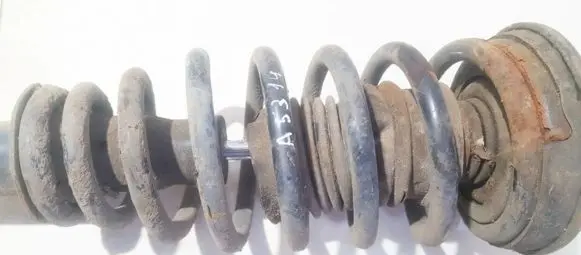 Front coil spring
