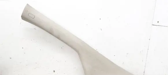 (A) pillar trim