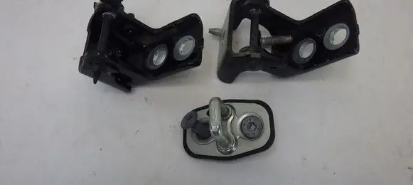 Citroen C3 Rear door hinge set 