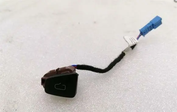 Tesla Model 3 Other switches/knobs/shifts 109495702E