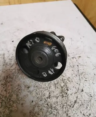 Peugeot 406 Power steering pump 8622587980