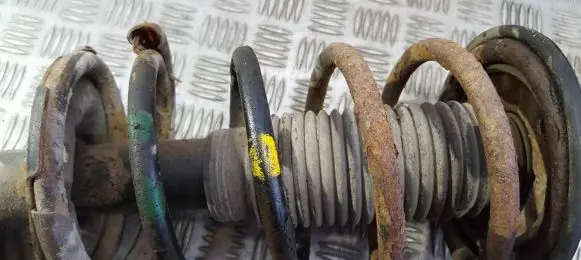Front coil spring