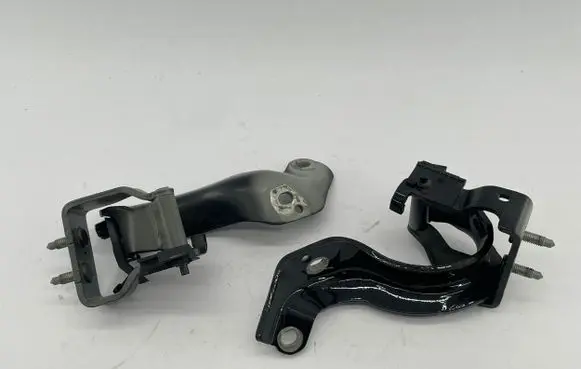 Tailgate/trunk/boot hinge