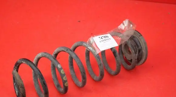 Skoda Octavia Mk2 (1Z) Rear coil spring