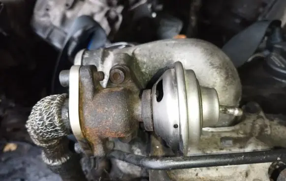 EGR valve