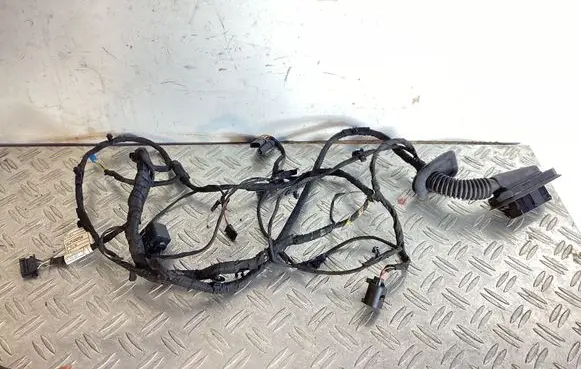 Rear door wiring loom