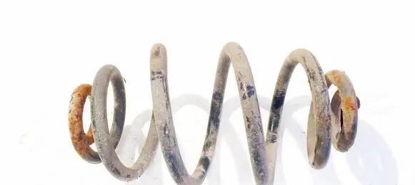 Rear coil spring