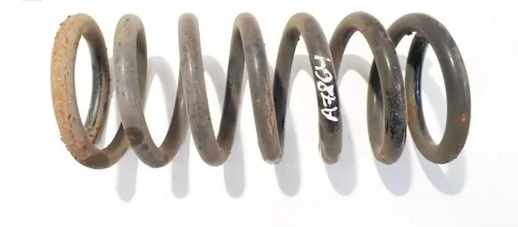 Opel Antara Rear coil spring