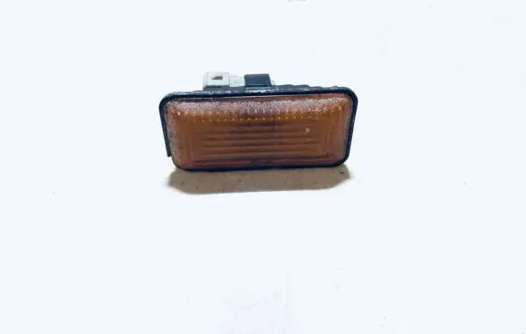 Front fender indicator light