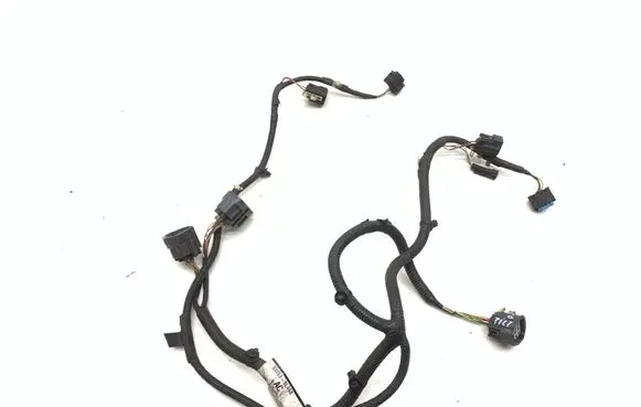 Other wiring loom