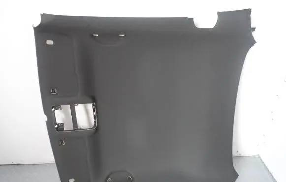 Volkswagen Beetle A5 Headlining 