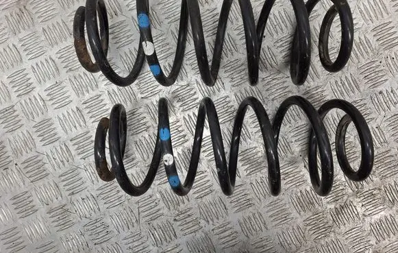 Rear coil spring