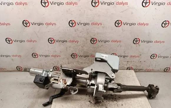 Electric power steering pump