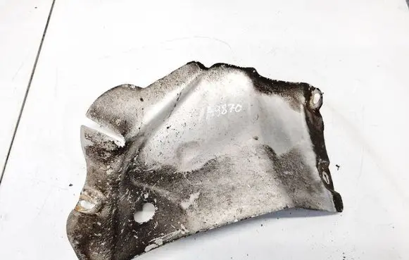 Exhaust heat shield