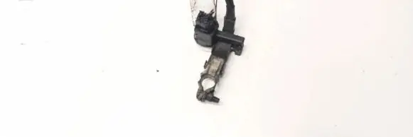 Toyota Verso Positive cable (battery) 2885028040