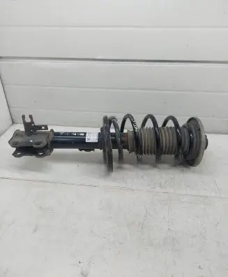 Opel Signum Front shock absorber with coil spring 13214373 824903001019