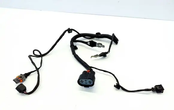Other wiring loom