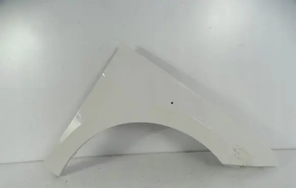Skoda Scala Fender