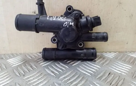 Thermostat/thermostat housing