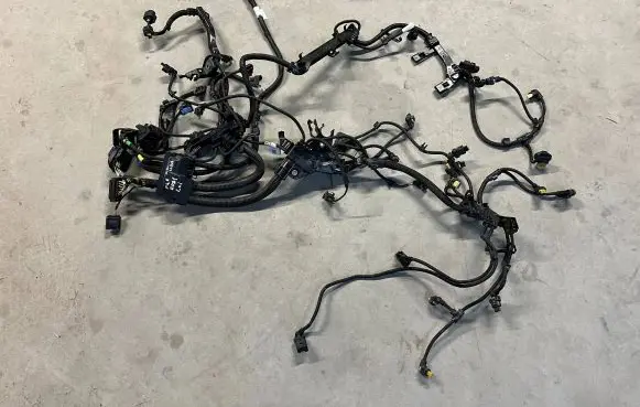 BMW X1 F48 F49 Engine installation wiring loom
