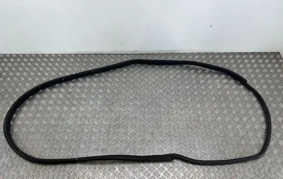 BMW i3 Front door rubber seal 7301742
