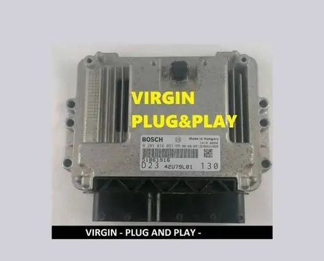Engine control unit/module ECU