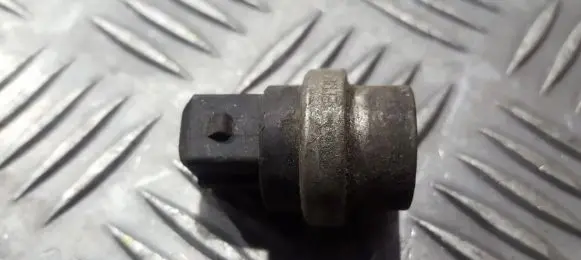 Ford Galaxy Coolant temperature sensor 251919501a