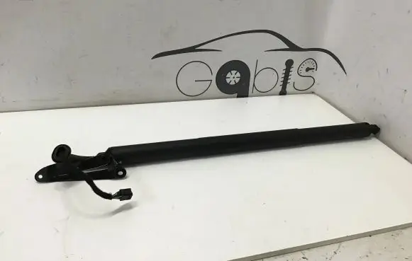 Volkswagen Arteon Shooting Brake Tailgate/trunk strut/damper 3G8827851E