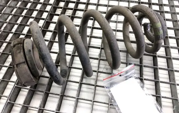Rear coil spring