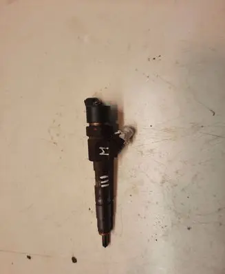 Renault Megane II Fuel injector 8200100272 0445110110B