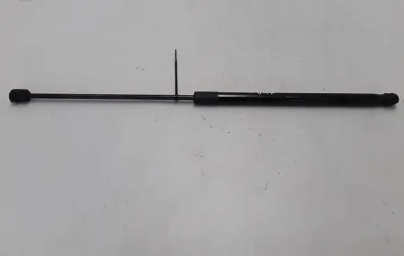 Tailgate strut