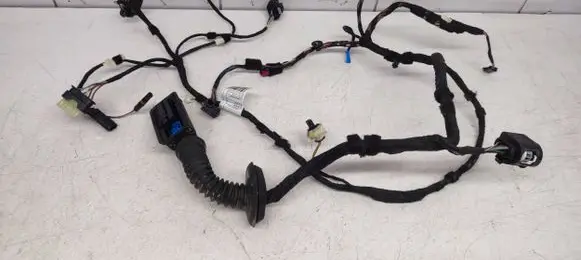BMW X6 F16 Front door wiring loom 9365815 BM6U228113 E31854A