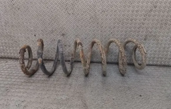 Volkswagen Golf IV Rear coil spring