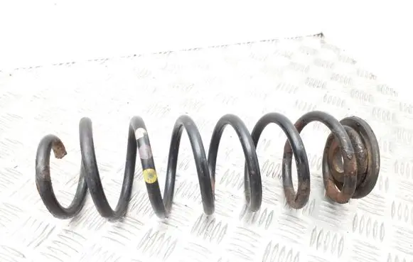 Volkswagen PASSAT B6 Rear coil spring