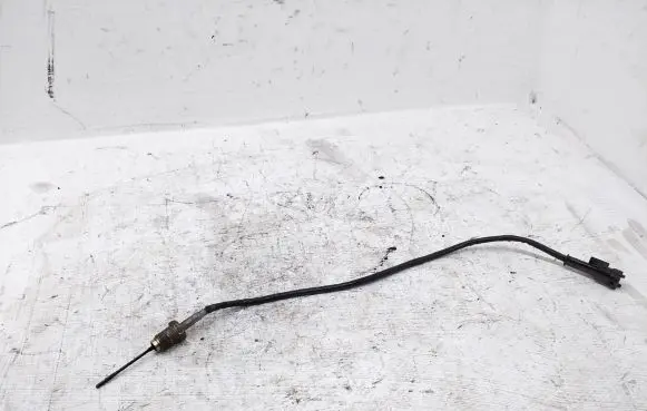 Exhaust gas temperature sensor