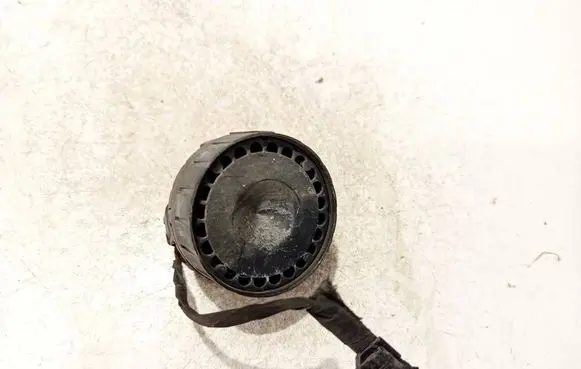 Alarm system siren