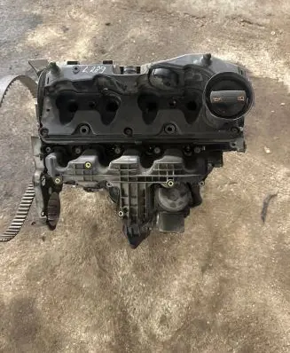 Volkswagen PASSAT B7 Engine CAY