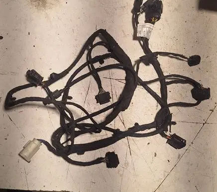 Other wiring loom