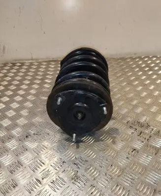 Hyundai Santa Fe Front shock absorber with coil spring