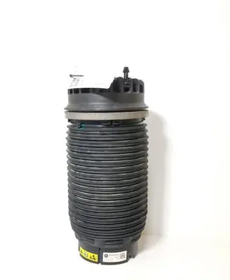 Rear air suspension bag/shock absorber