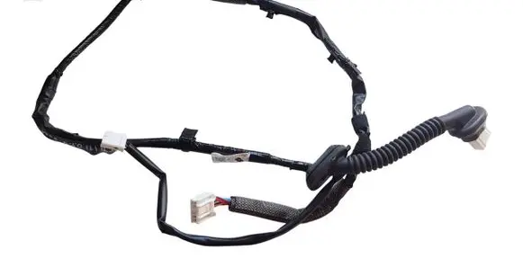 Rear door wiring loom