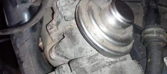 EGR valve