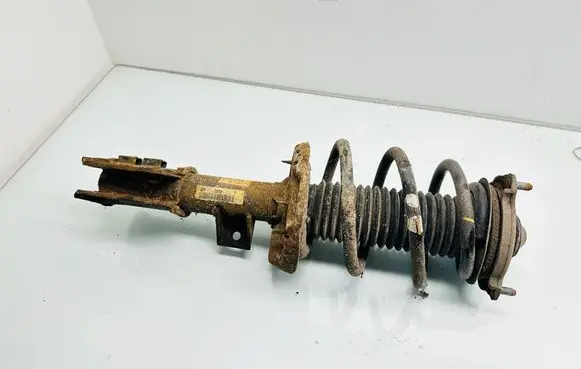KIA Optima Front shock absorber with coil spring 54660D4540