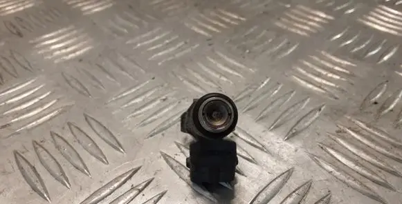 Volkswagen Golf IV Fuel injector 036031C