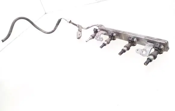Nissan Qashqai Fuel injector FBY1160 6008620